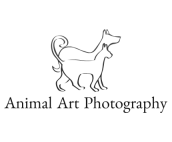 Animal Art Photography 